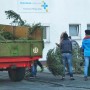 Tannenbaumaktion der Ev. Jugend Drabenderhhe: Neuer Spendenrekord fr die Kinder- und Jugendarbeit erzielt 