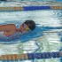 Schwimmen: Vier Mal Edelmetall fr die Geschwister Buchholz