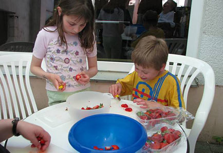 Vanilleeis mit frischen Erdbeeren selbstgemacht