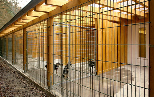 Neue Hundeauslufe im Tierheim Koppelweide