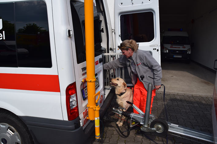 Daniela Bahn von der Johanniter-Rettungshundestaffel mit ihrem Hund Baker in
Wiehl auf dem Weg zum Sucheinsatz in Leichlingen. Foto: Sabine Eisenhauer/Johanniter