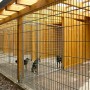 Tierheim Koppelweide: Neue Hundeausläufe