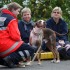 Johanniter-Rettungshundestaffel richtete in Wiehl eine Prüfung aus: Wer hat den richtigen Riecher?
