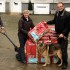  Tierheim Koppelweide ist Sieger der Futterspendenaktion