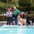Hundeschwimmen im Freibad Bielstein