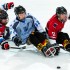 Wiehler Pinguine gewinnen Para-Eishockey-DM
