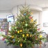 „Wackelzähne“ schmückten Weihnachtsbaum