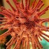 Coronavirus: Zweiter Todesfall im Oberbergischen Kreis – 15 infizierte Personen in Wiehl